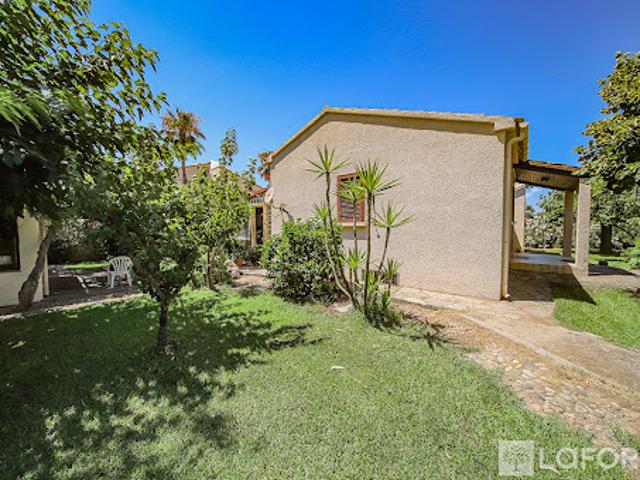 Maison vente à Bastia, Lucciana