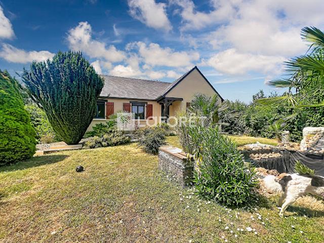 Maison vente à Saumur, Louresse-rochemenier