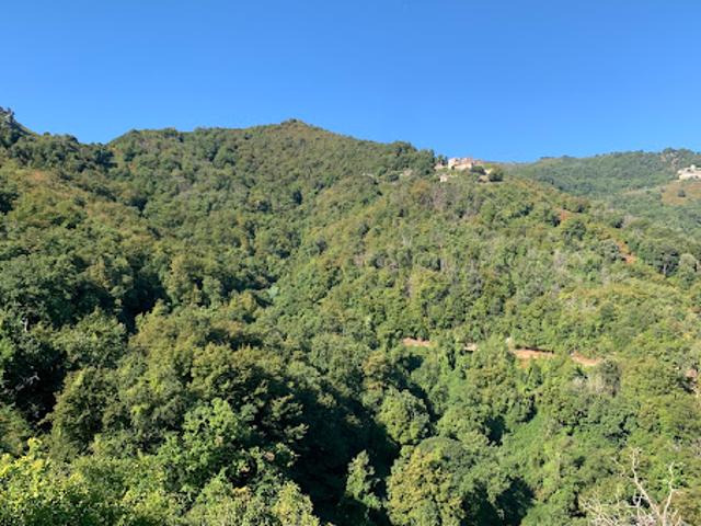 Maison vente à Corte, San-nicolao