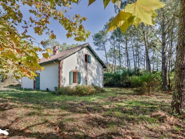 Maison vente à France métropolitaine, Moliets-et-maa