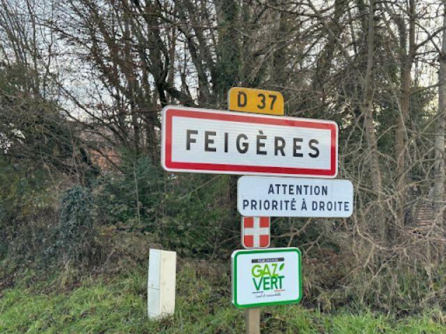 Maison vente à Saint-Julien-en-Genevois, Feigères