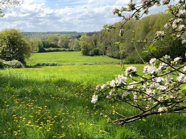 Maison vente à Lisieux, Normandie