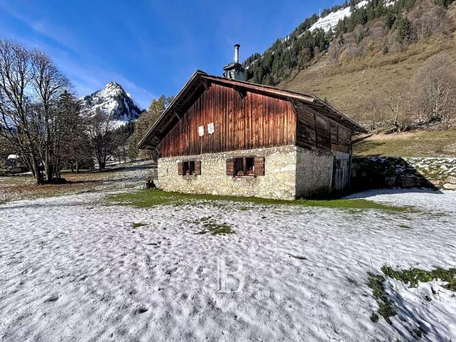 Maison vente à Thonon-les-Bains, Saint-jean-d'aulps