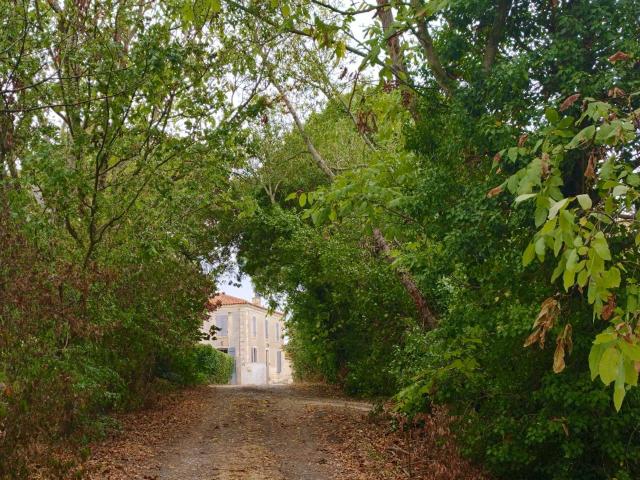 Maison vente à Village de Reth, Saint-Sigismond