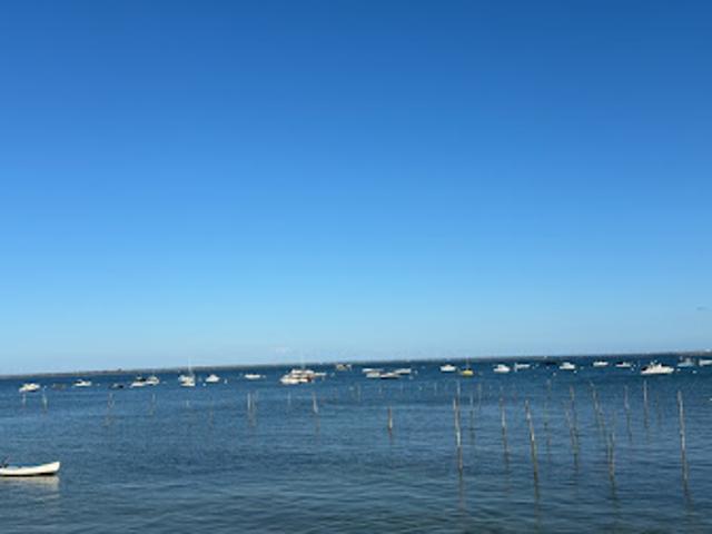 Maison vente à Les Allées Forestières, Lège-Cap-Ferret