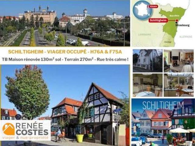 Maison vente à Strasbourg, Schiltigheim