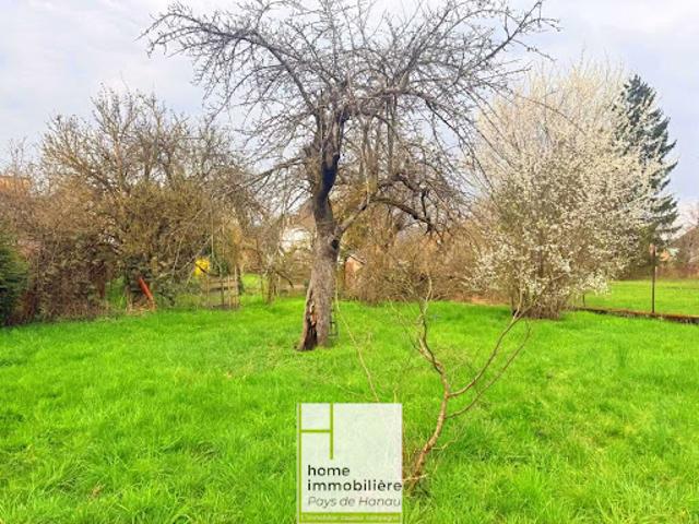 Maison vente à Saverne, Bouxwiller