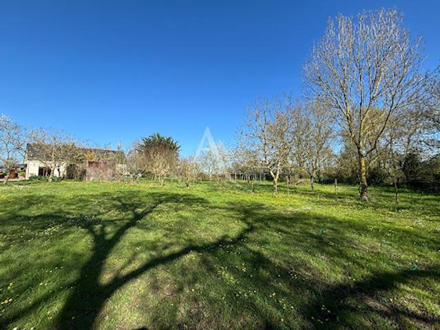 Maison vente à Angers, Chalonnes-sur-loire
