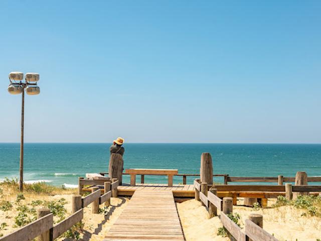 Maison vente à France métropolitaine, Messanges