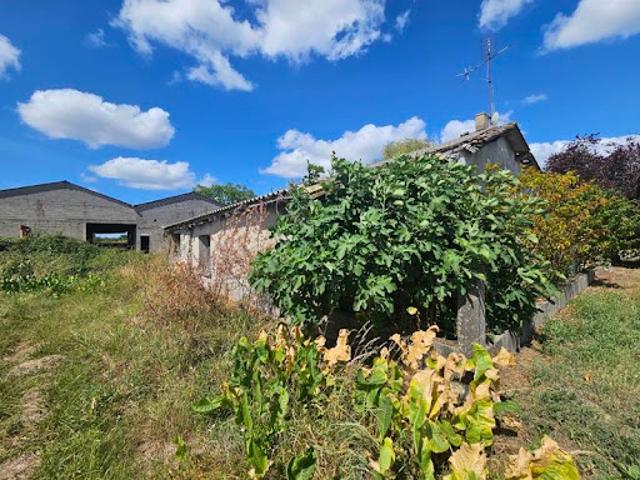 Maison vente à Jonzac, Montguyon