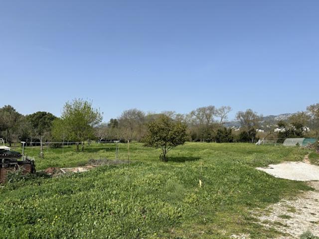 Maison vente à Arrondissement de Toulon, Le Pradet
