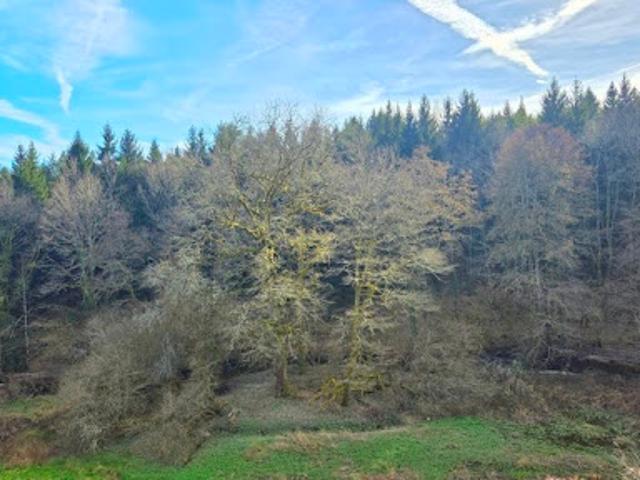 Maison vente à Salon-la-Tour, Corrèze