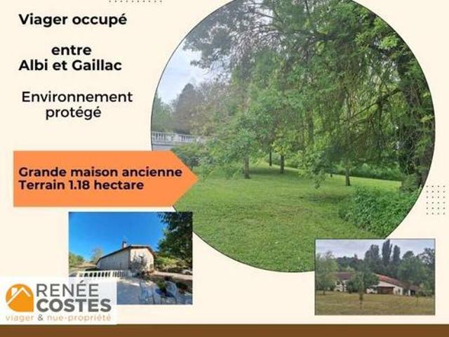 Maison vente à Albi, Gaillac