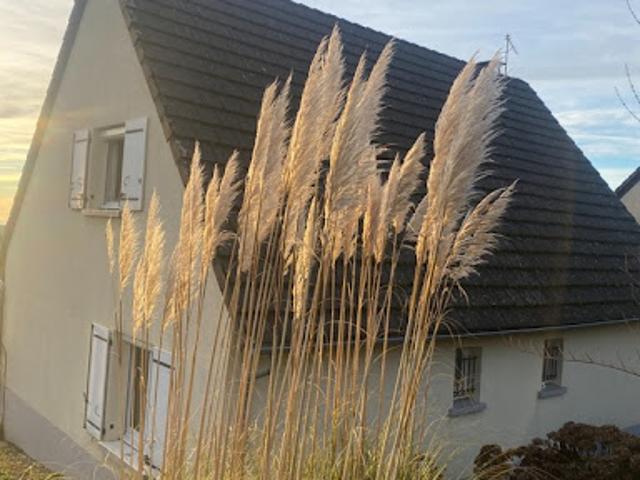 Maison vente à Aurillac, Montsalvy