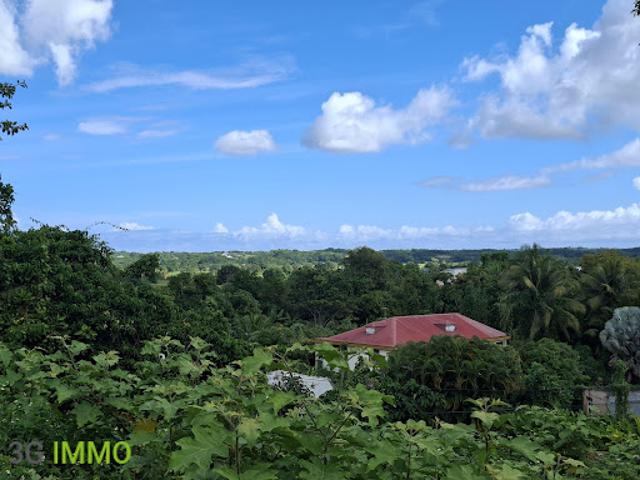 Maison vente à Guadeloupe