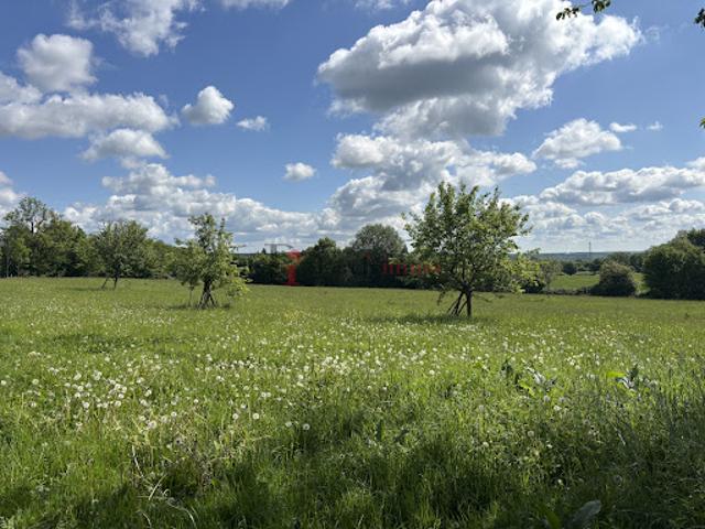Maison vente à Mortagne-au-Perche, Moulins-la-marche