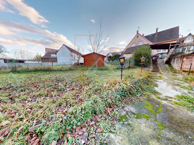 Maison vente à Haguenau-Wissembourg, Seltz
