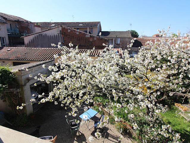 Maison vente à Montauban