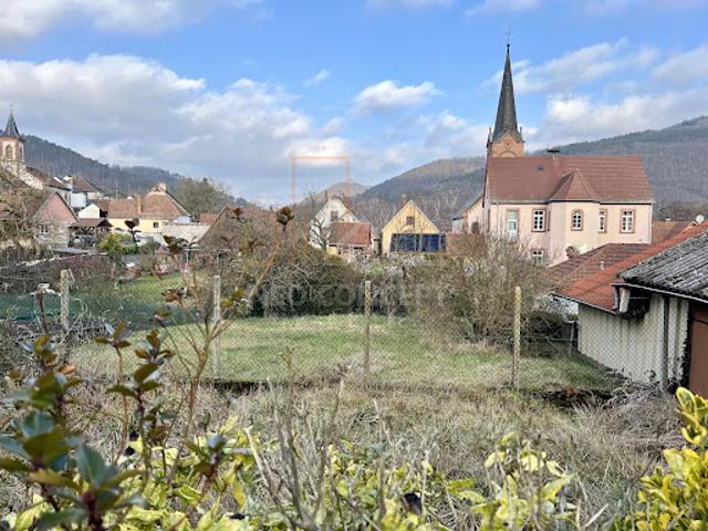 Maison vente à Haguenau-Wissembourg, Zinswiller