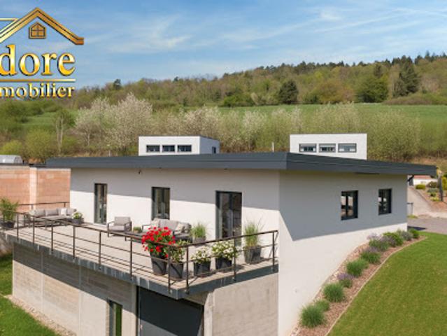 Maison vente à Saint-Dié-des-Vosges, Saint-dié