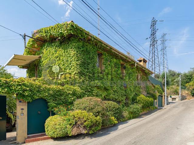 Maison vente à Nice, La Trinité