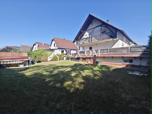 Maison vente à Haguenau-Wissembourg, Auenheim