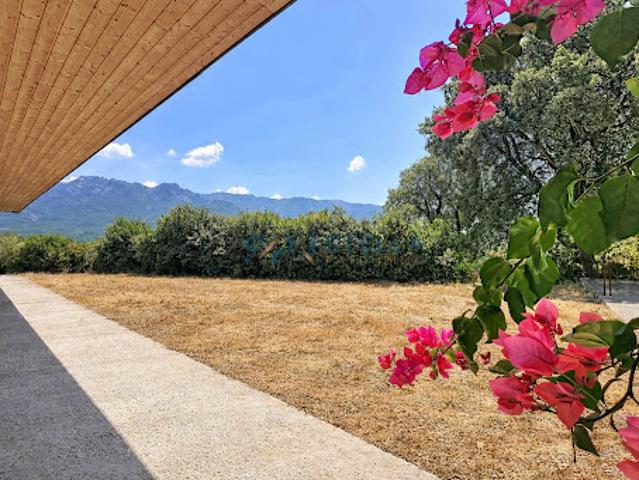 Maison vente à Ajaccio, Tavaco