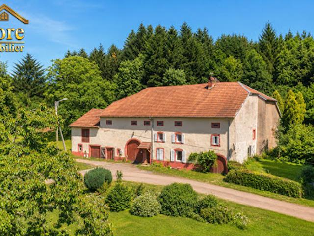 Maison vente à Saint-Dié-des-Vosges, Moyenmoutier