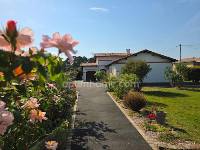 Maison vente à Arcachon, Salles