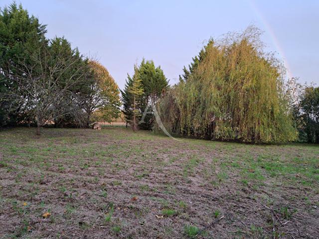 Maison vente à Auch, L'isle-jourdain