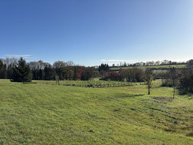 Maison vente à Mortagne-au-Perche, Mortagne-au-perche