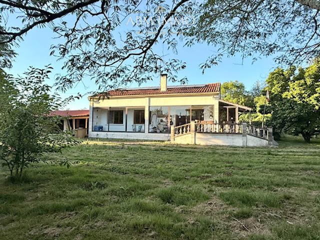 Maison vente à Jonzac, Bois