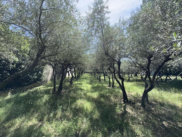 Maison vente à Nîmes, Villeneuve-lès-avignon