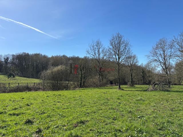 Maison vente à Mortagne-au-Perche, Mortagne-au-perche