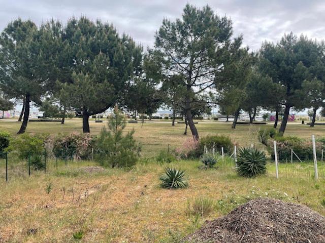 Maison vente à Lesparre-Médoc, Le Verdon-sur-mer