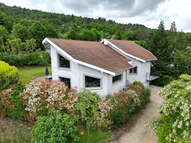 Maison vente à France métropolitaine, Châtillon-en-michaille