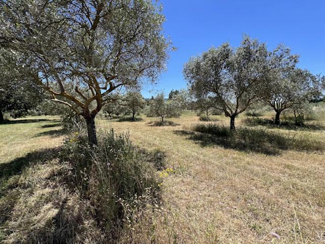Maison vente à Apt, Cabrières-d'avignon