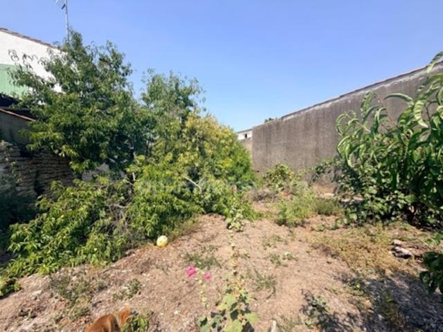 Maison vente à La Rochelle, Le Bois-plage-en-ré