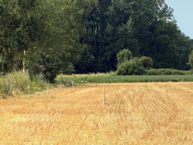 Maison vente à Villers-sur-Authie, Somme