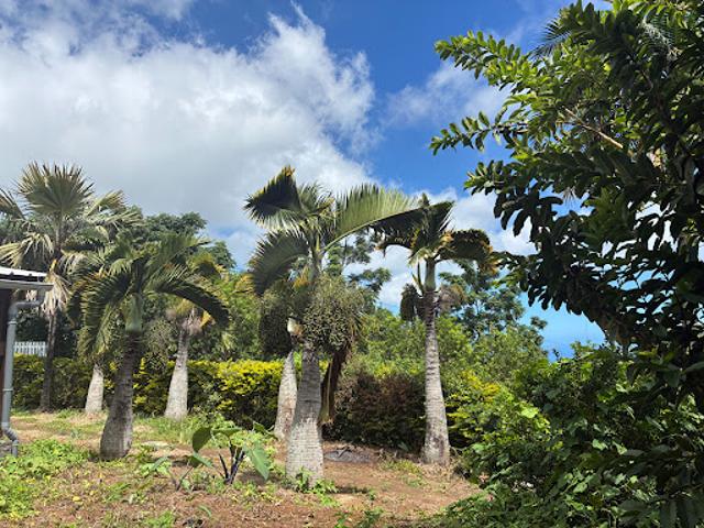 Maison vente à La Réunion