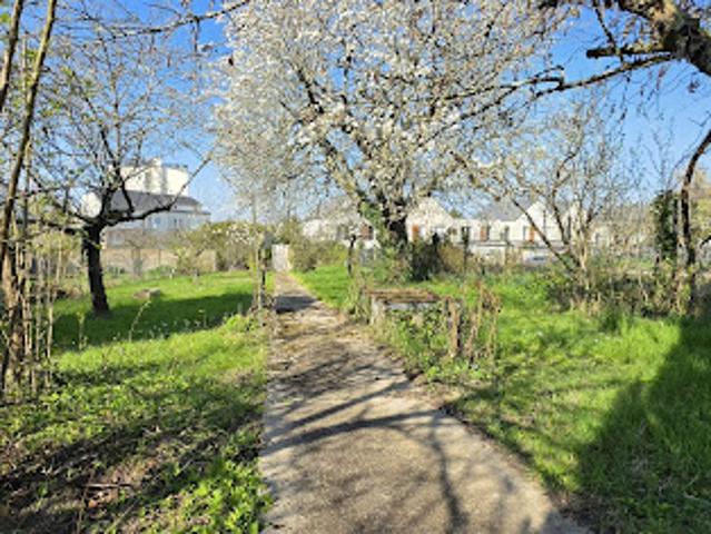 Maison vente à Tours, Chambray-lès-tours
