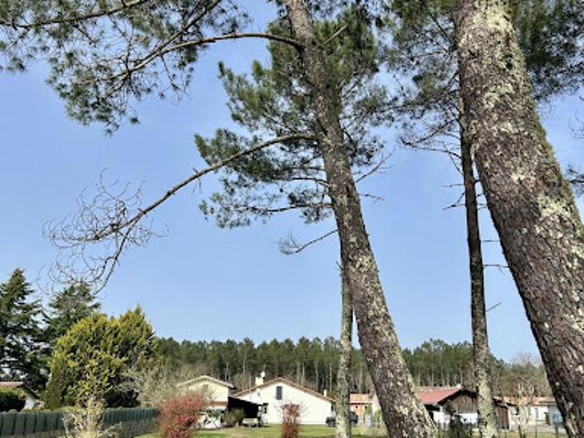 Maison vente à Mont-de-Marsan, Lespéron