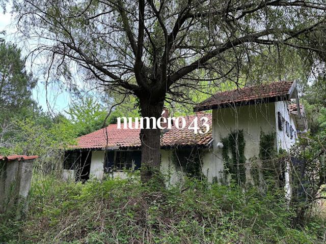 Maison vente à Lesparre-Médoc, Vendays-montalivet