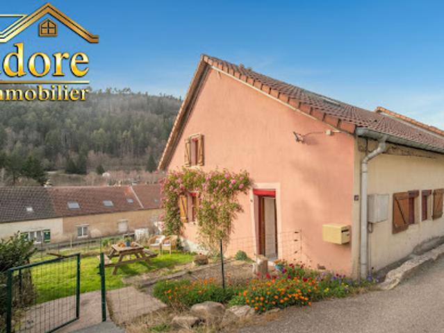 Maison vente à Saint-Dié-des-Vosges, Plainfaing