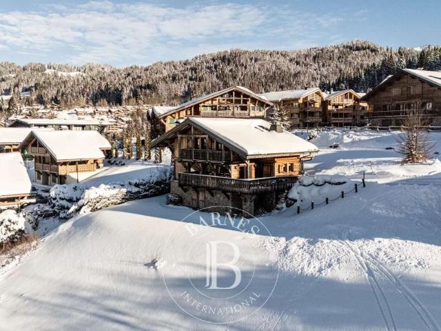 Maison vente à Thonon-les-Bains, Les Gets