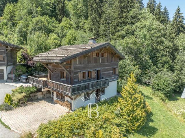 Maison vente à Thonon-les-Bains, Morzine