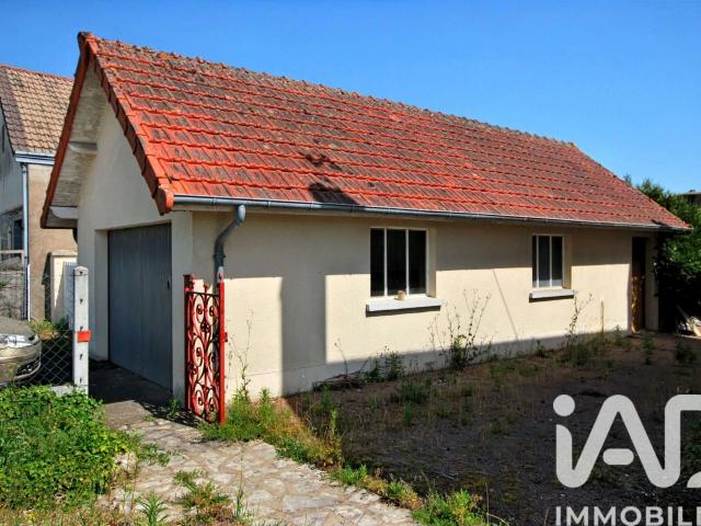 Maison vente à Montargis, Ouzouer-sur-trézée