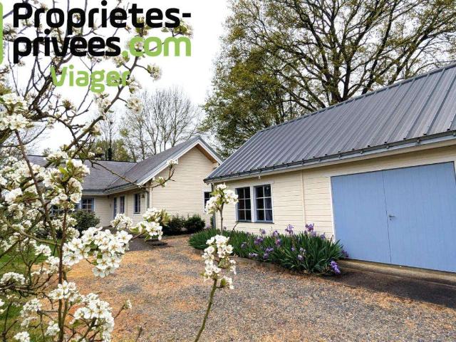 Maison vente à Segré, Louvaines