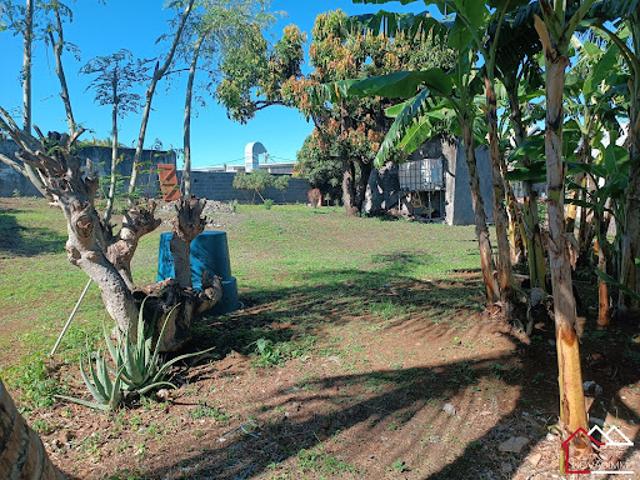 Maison vente à La Réunion