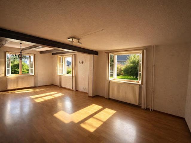 Maison vente à Mulhouse, Neuwiller